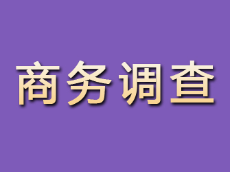 建湖商务调查